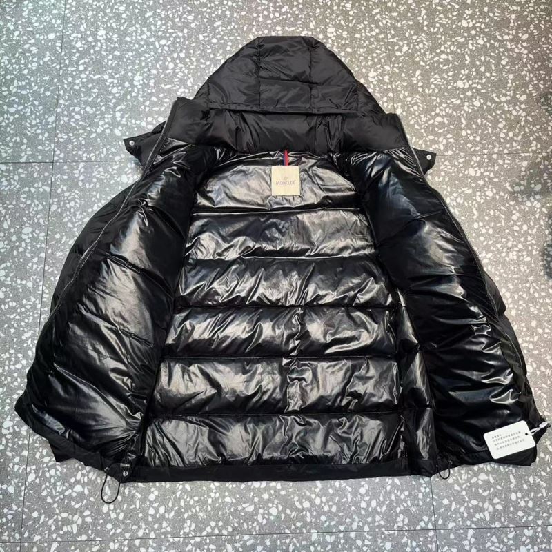 Louis Vuitton Down Jackets